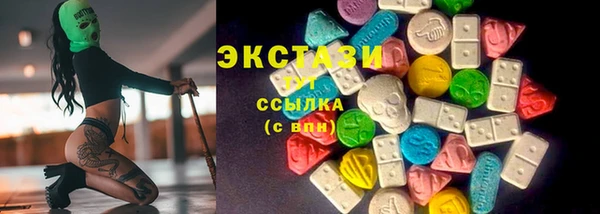 индика Бугульма