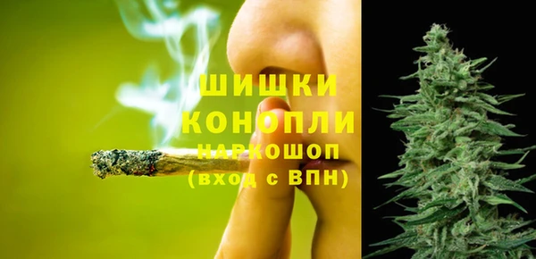 соль ск Бородино