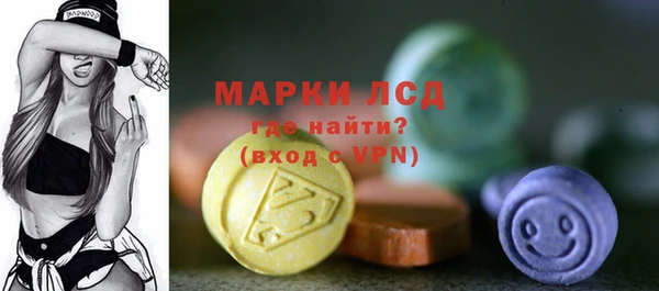 индика Бугульма