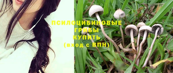 соль ск Бородино