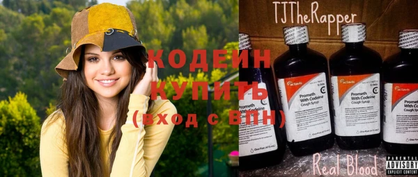 индика Бугульма
