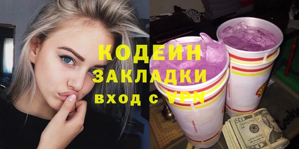 индика Бугульма