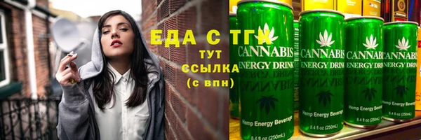 индика Бугульма