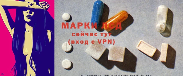 индика Бугульма