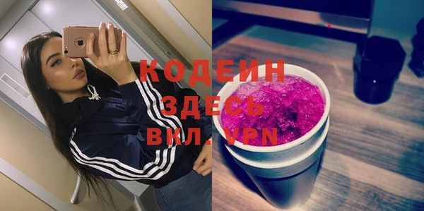 индика Бугульма