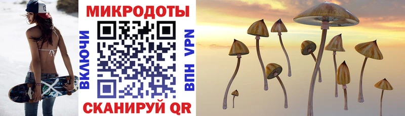 Псилоцибиновые грибы ЛСД Новосокольники